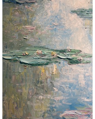 Water Lilies